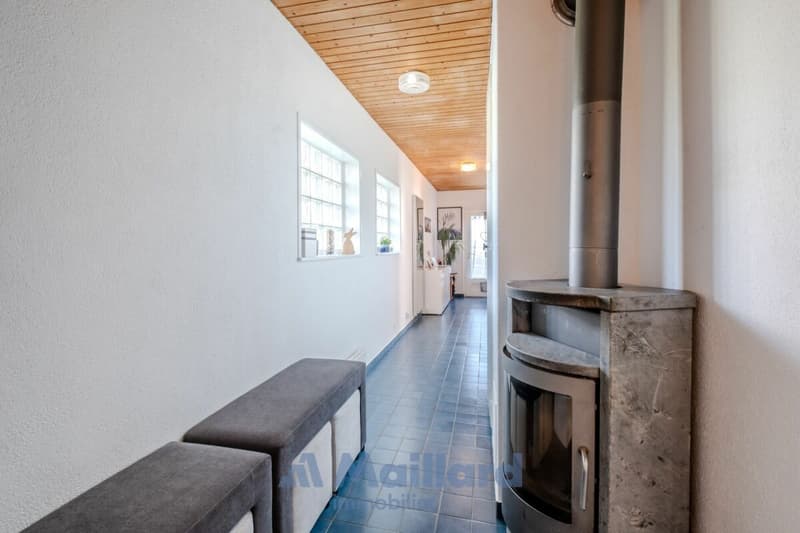 Charming individual village house (9)