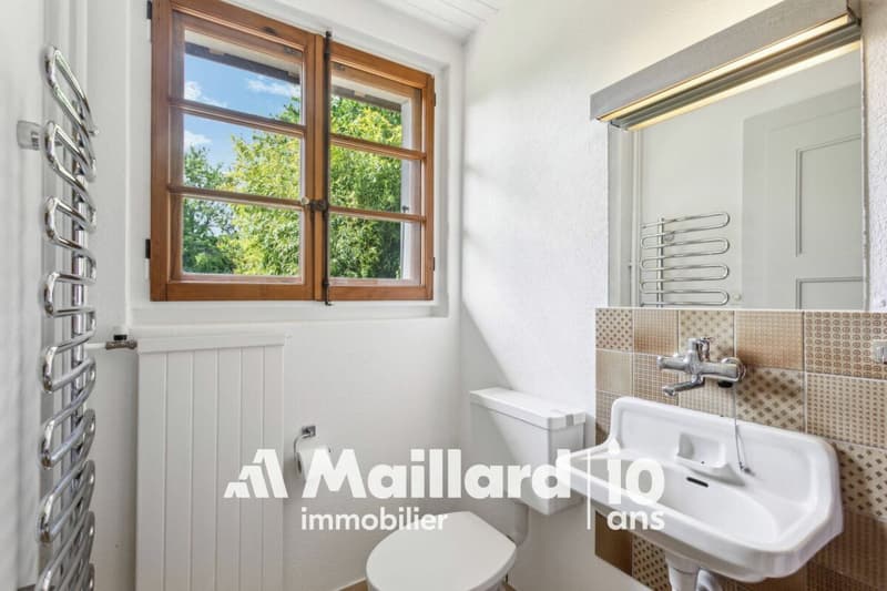 Charming renovated farmhouse with potential - quiet neighborhood close to the center (8)