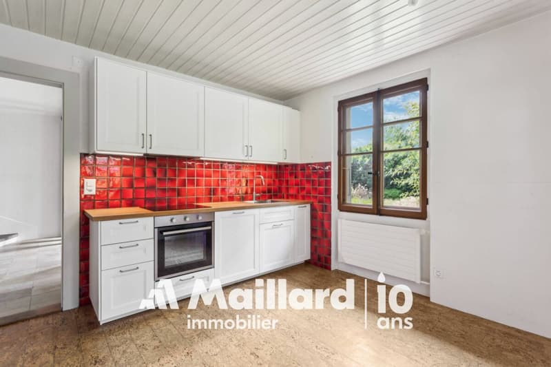 Charming renovated farmhouse with potential - quiet neighborhood close to the center (4)