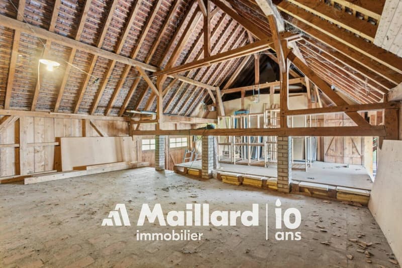 Charming renovated farmhouse with potential - quiet neighborhood close to the center (10)