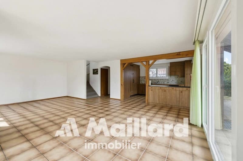 Beautiful individual villa in Carrouge VD (10)