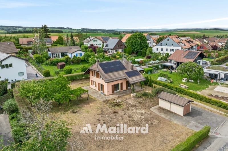 Beautiful individual villa in Carrouge VD (5)