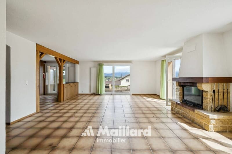 Beautiful individual villa in Carrouge VD (6)