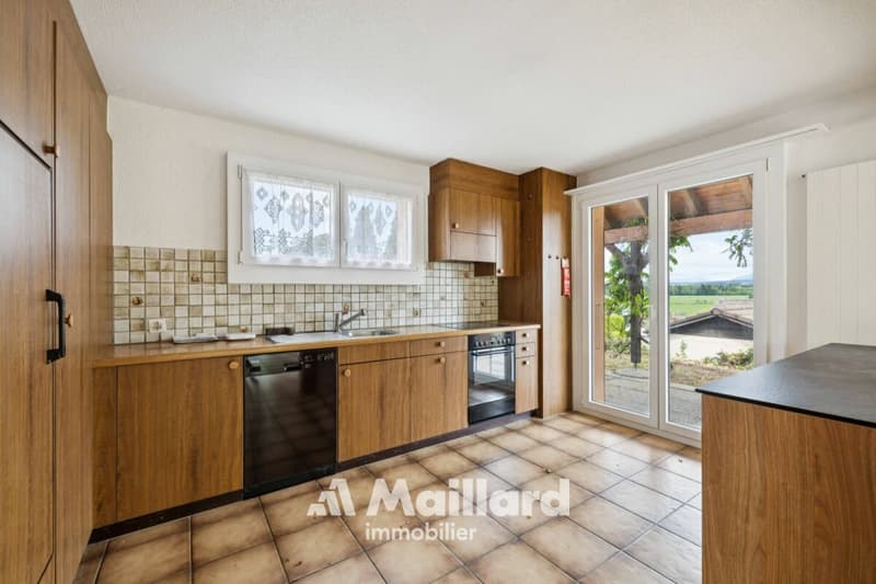 Beautiful individual villa in Carrouge VD (9)