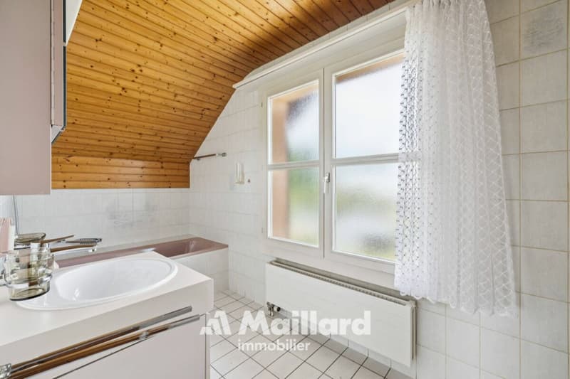 Beautiful individual villa in Carrouge VD (16)