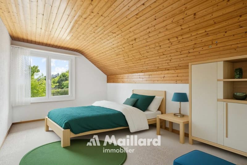 Beautiful individual villa in Carrouge VD (14)