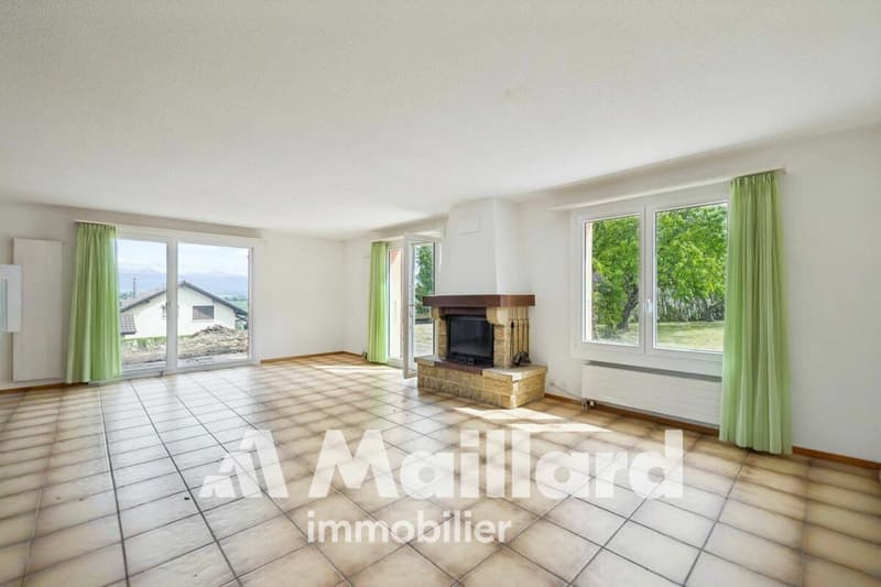 Beautiful individual villa in Carrouge VD (8)