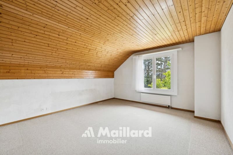 Beautiful individual villa in Carrouge VD (11)