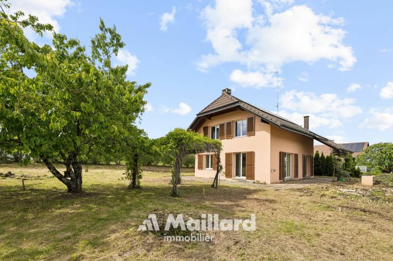 Beautiful individual villa in Carrouge VD (1)