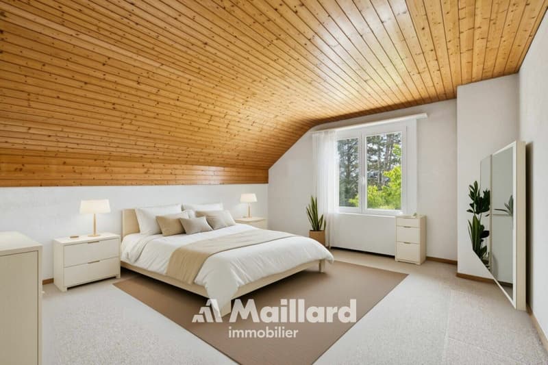 Beautiful individual villa in Carrouge VD (12)