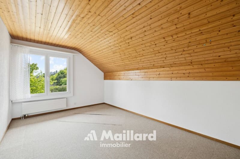 Beautiful individual villa in Carrouge VD (13)