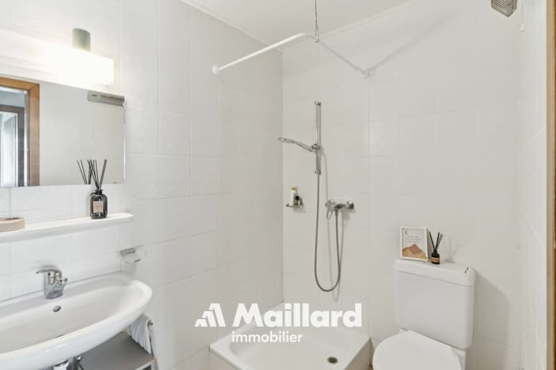 Tuileries - Renovated Duplex with Garden and Parking Spaces (11)