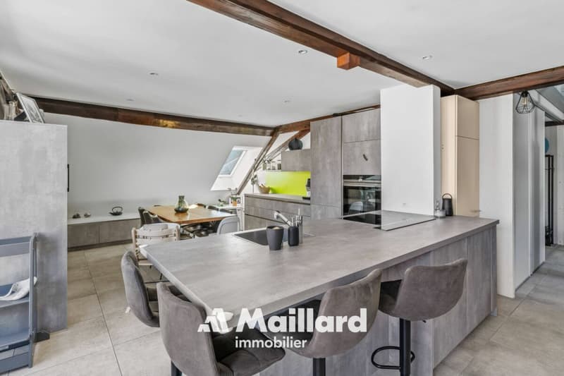 Tuileries - Renovated Duplex with Garden and Parking Spaces (7)