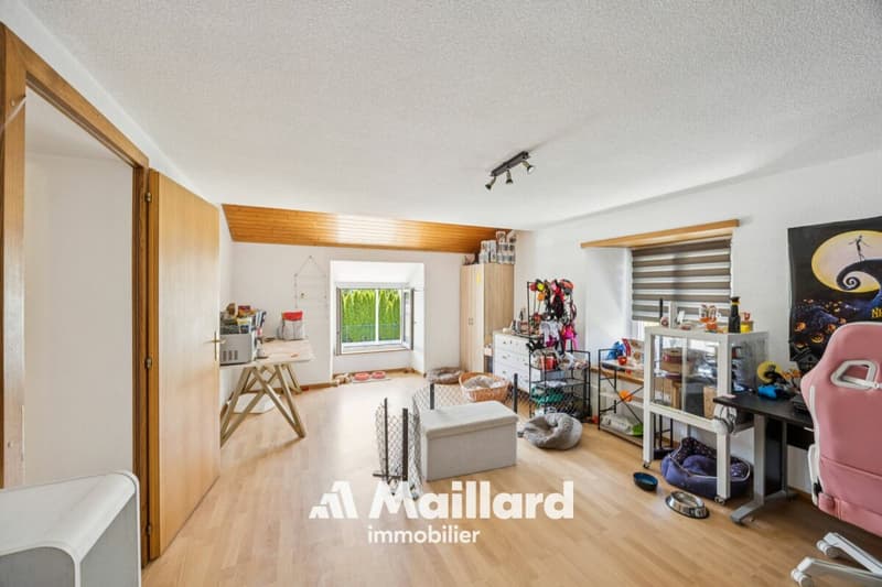 Courfaivre - Peaceful apartment with parking space and garden (5)