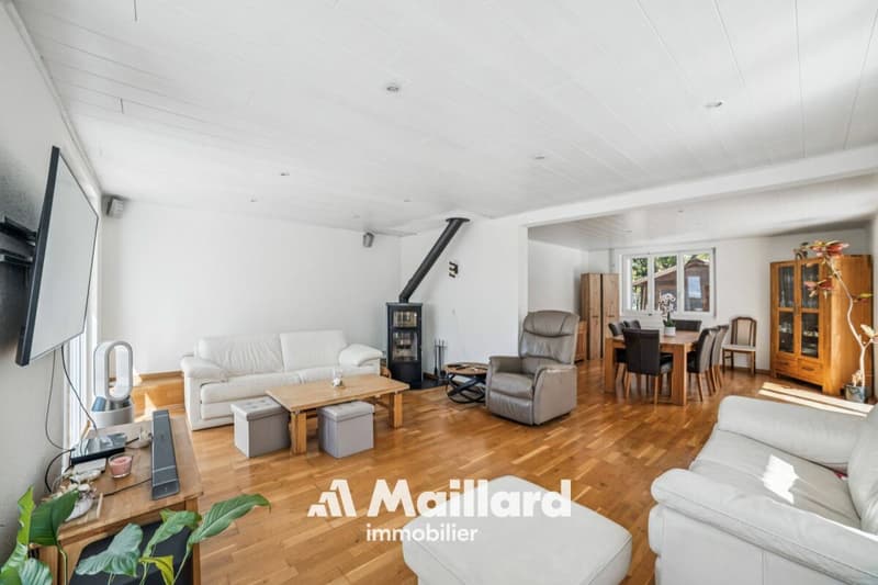 Yverdon - Beautiful 5.5-room single-family house (2)