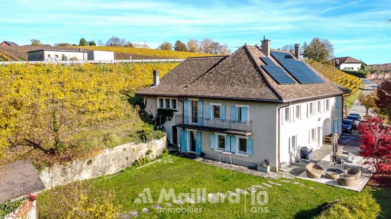Beautiful 18th-century building, completely renovated (2)