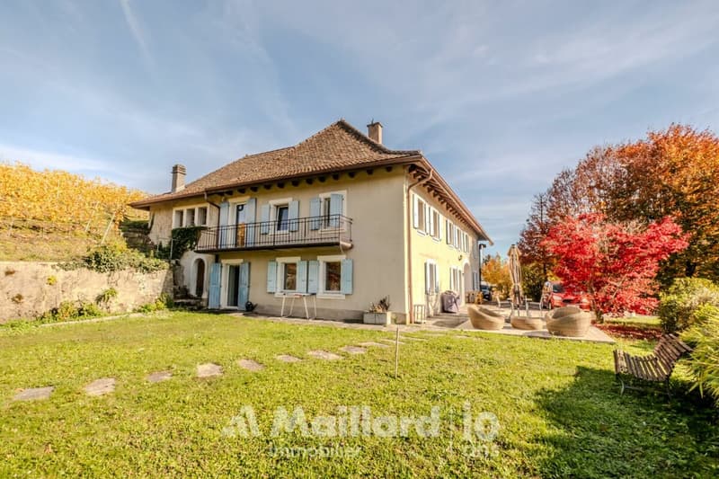 Beautiful 18th-century building, completely renovated (4)