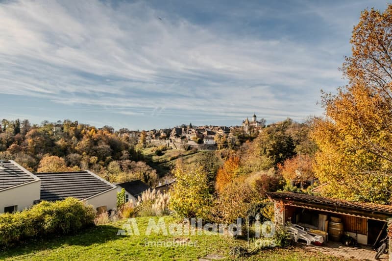 Magnificent 6.5-room house with garden (5)