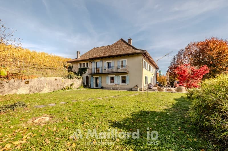 Magnificent 6.5-room house with garden (2)