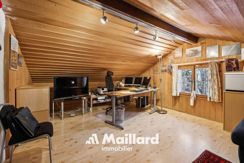 Exceptional master house in Arzier-Le Muids: lake and Alps panorama, absolute calm (9)