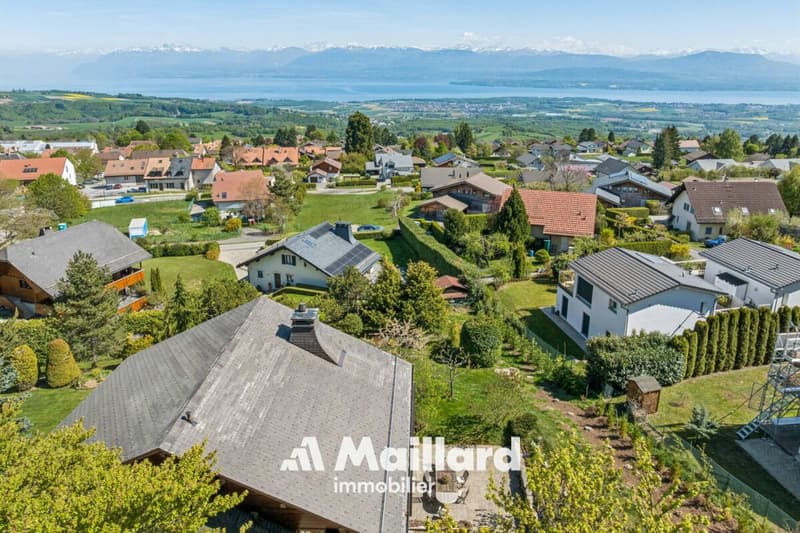 Exceptional master house in Arzier-Le Muids: lake and Alps panorama, absolute calm (2)