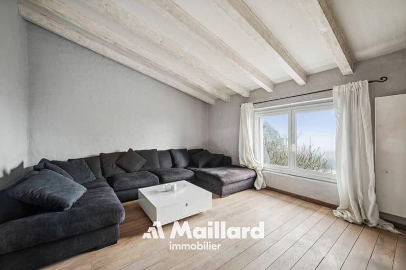 Exceptional villa with panoramic views of Mont Blanc, Lake Geneva and the Alps (10)
