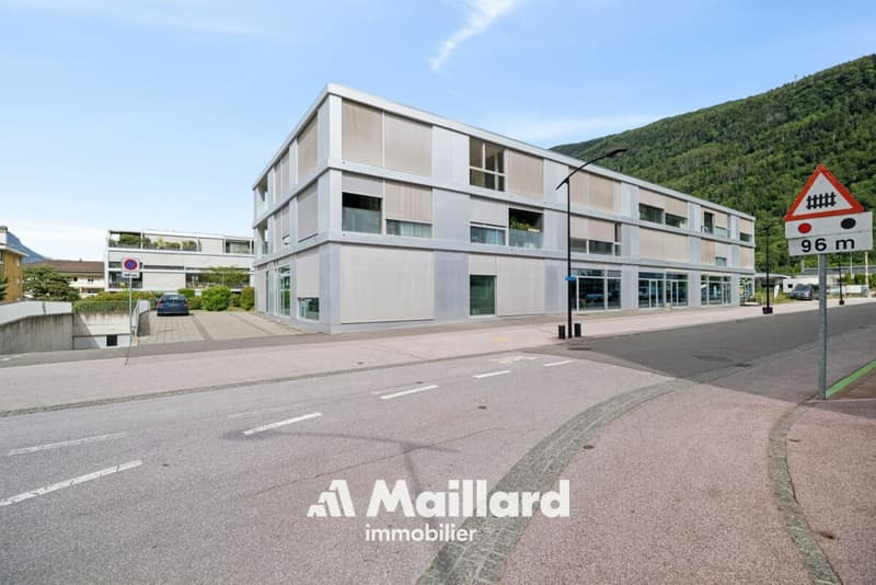 Magnifique appartement à Martigny (13)