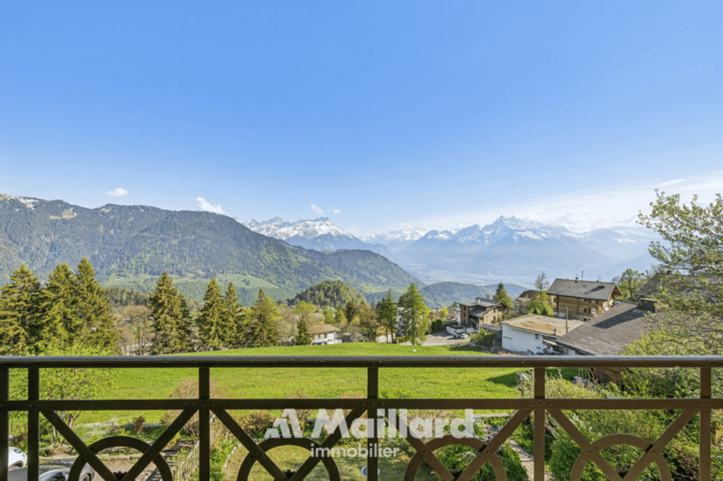 Spacieux appartement 2.5 pièces avec vue majestueuse! (8)