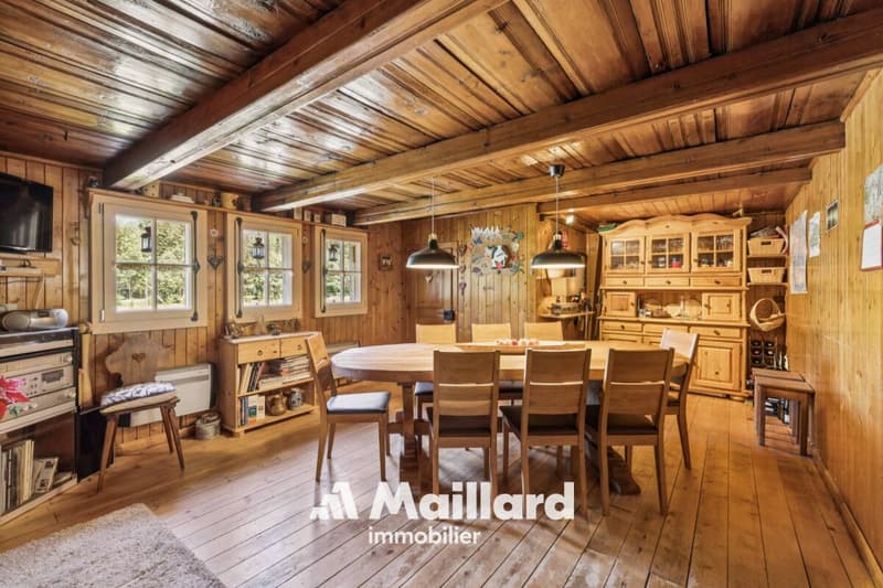 Chalet in Champéry (4)