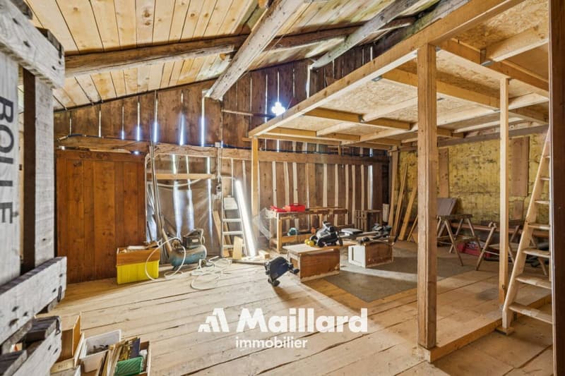 Chalet in Champéry (11)
