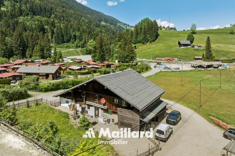 Chalet in Champéry (13)