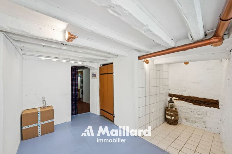 Dans le Vieux Bourg d'Aubonne, maison historique rénovée de 4 pièces (10)