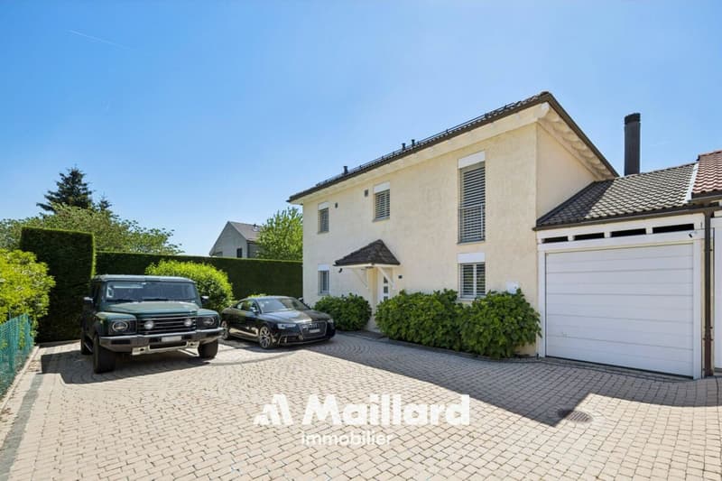 Magnificent contemporary villa in Founex (3)