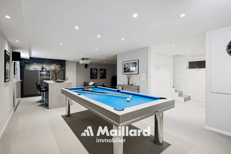 Magnificent contemporary villa in Founex (15)