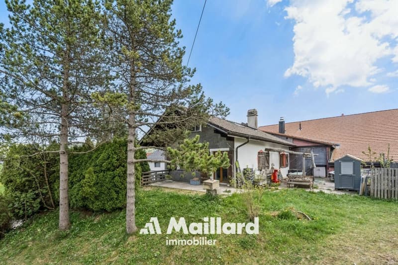 L'Auberson - Deliziosa casa di 5,5 locali con giardino (12)