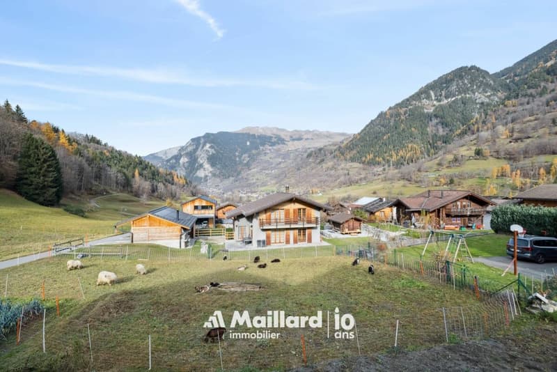Appartement de 3.5 piècs (13)