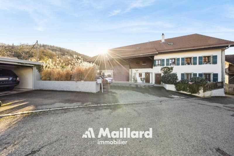 Authentic multi-family farm renovated with taste (15)