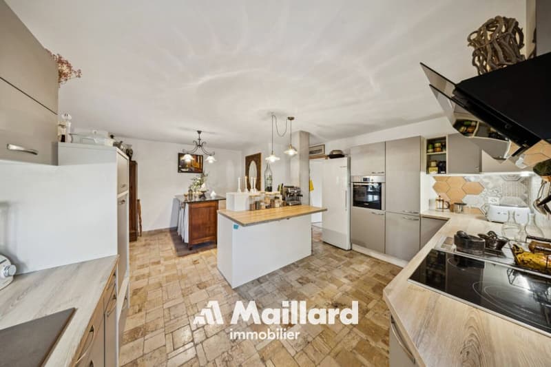 Authentic multi-family farm renovated with taste (5)