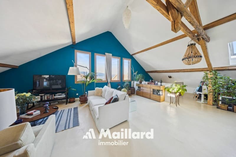 Authentic multi-family farm renovated with taste (2)