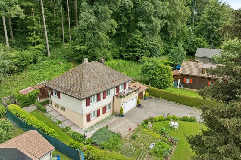 Maison individuelle en lisière de forêt (3)