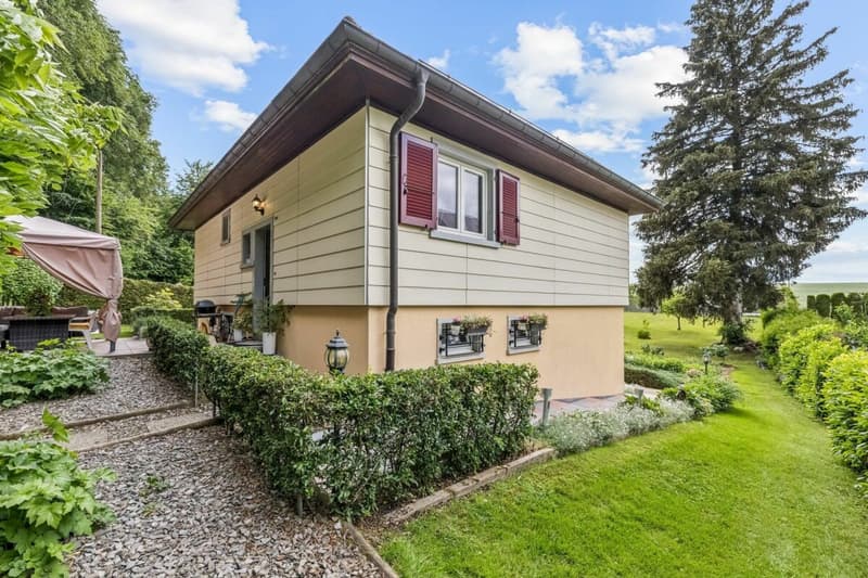 Maison individuelle en lisière de forêt (6)