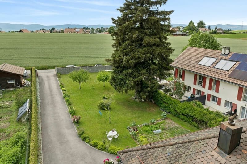 Maison individuelle en lisière de forêt (4)