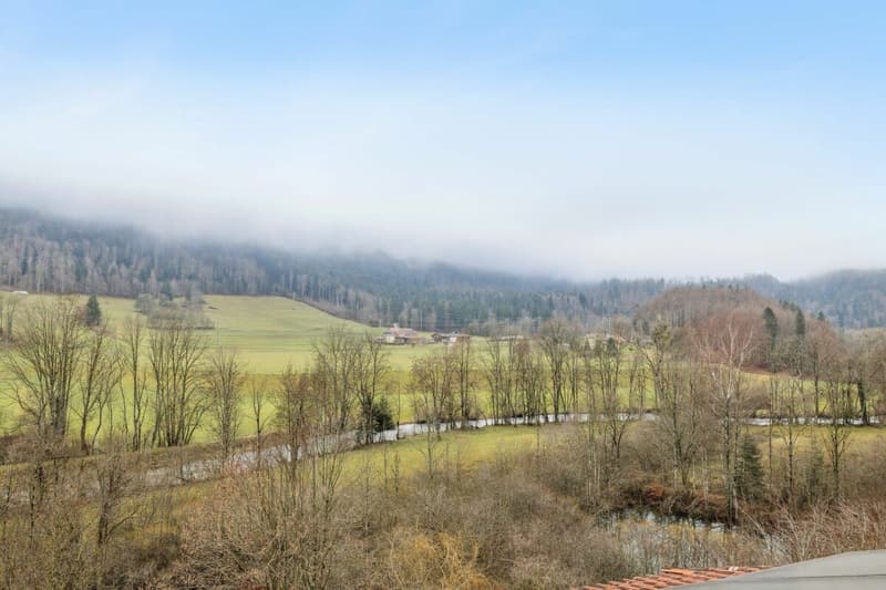 7-room house to renovate with great potential (3)