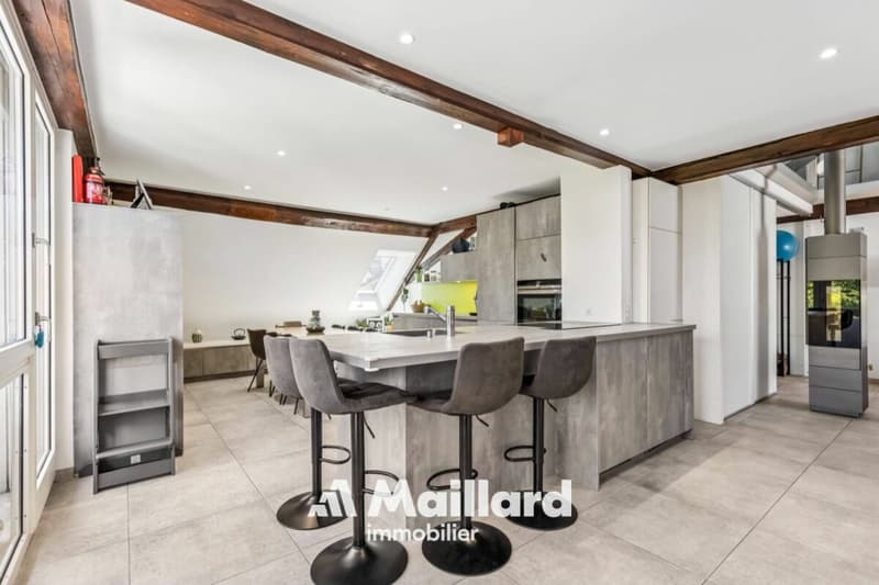 Spacious duplex with private garden and parking spaces (7)