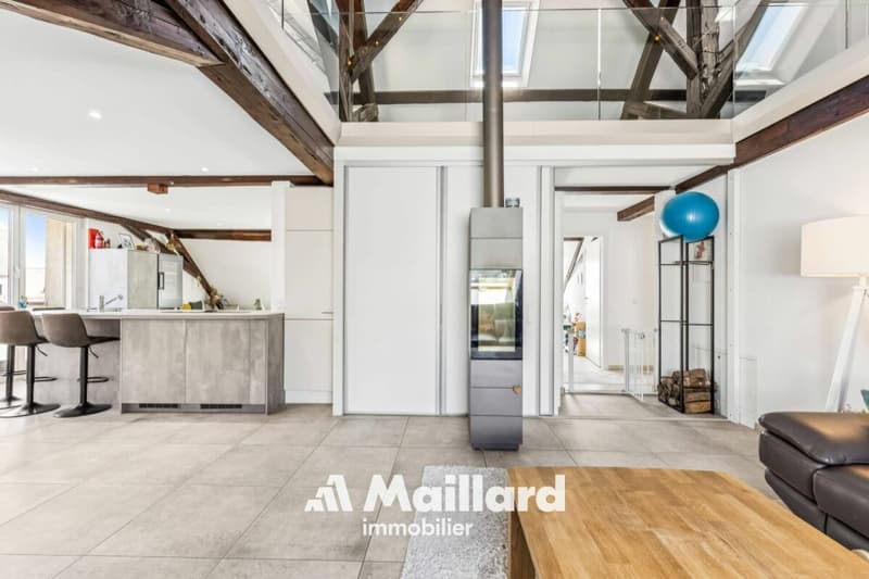 Spacious duplex with private garden and parking spaces (5)
