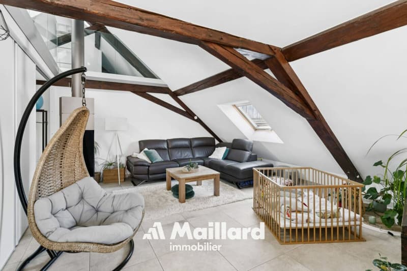 Spacious duplex with private garden and parking spaces (6)