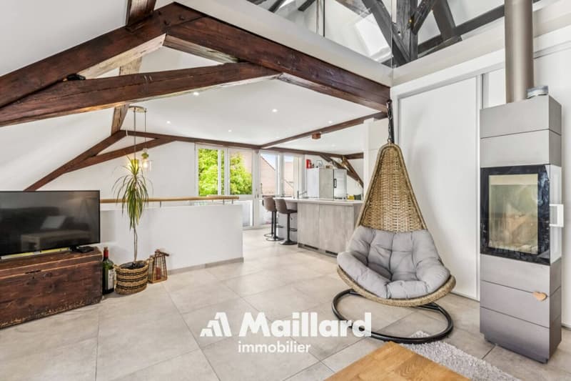 Spacious duplex with private garden and parking spaces (4)
