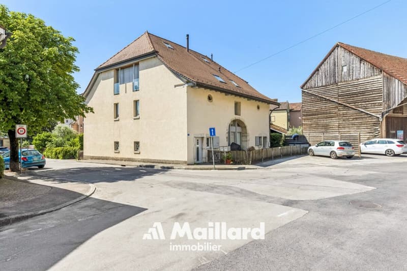 Spacious duplex with private garden and parking spaces (22)