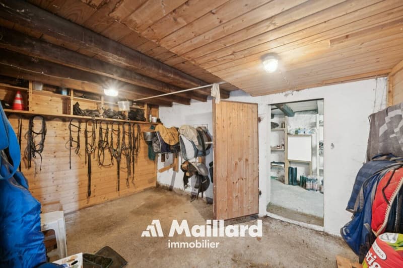 ORBE - Chalet mit 3 Zimmern auf einem 1'400 m² großen Grundstück (17)