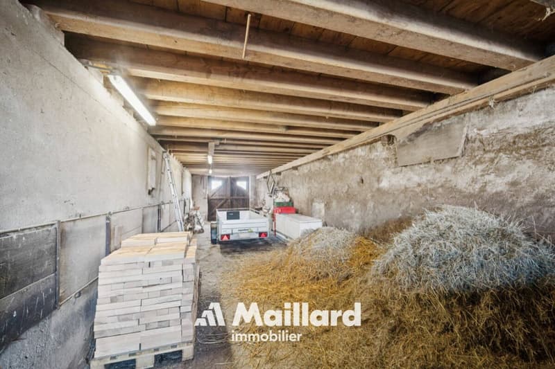 ORBE - Chalet mit 3 Zimmern auf einem 1'400 m² großen Grundstück (20)